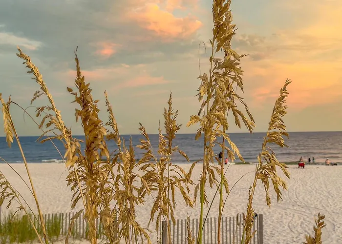 Sea Oats H206 By Albvr - Boat Launch And Close To Access Apartment Gulf Shores
