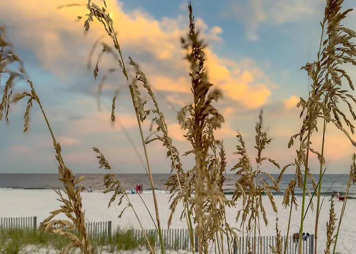 Apartment Sea Oats H206 By Albvr - Boat Launch And Close To Access Gulf Shores